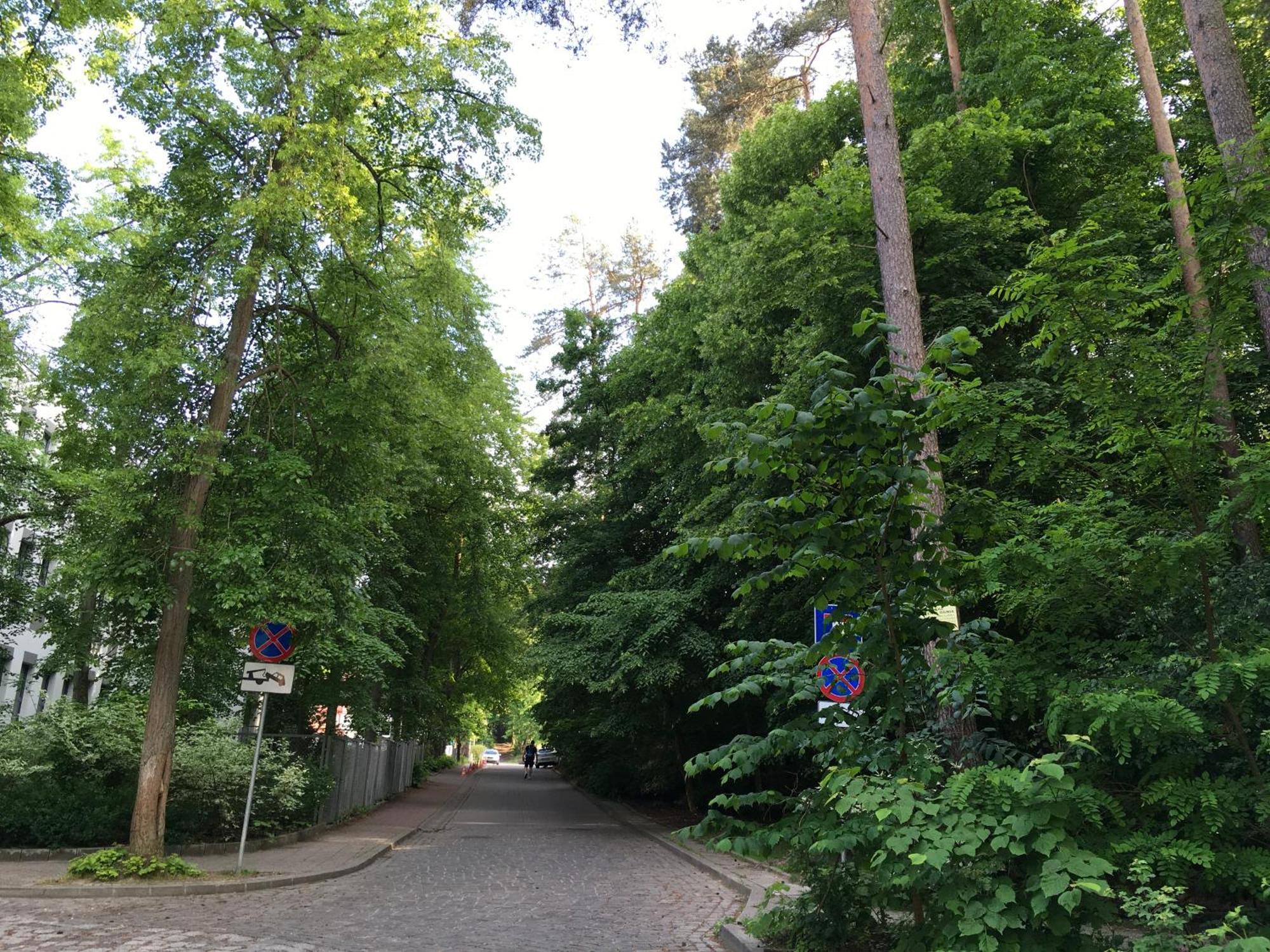 Przytulny Apartament Blisko Lasu Z Szybkim Wi-Fi Zoppot Exterior foto
